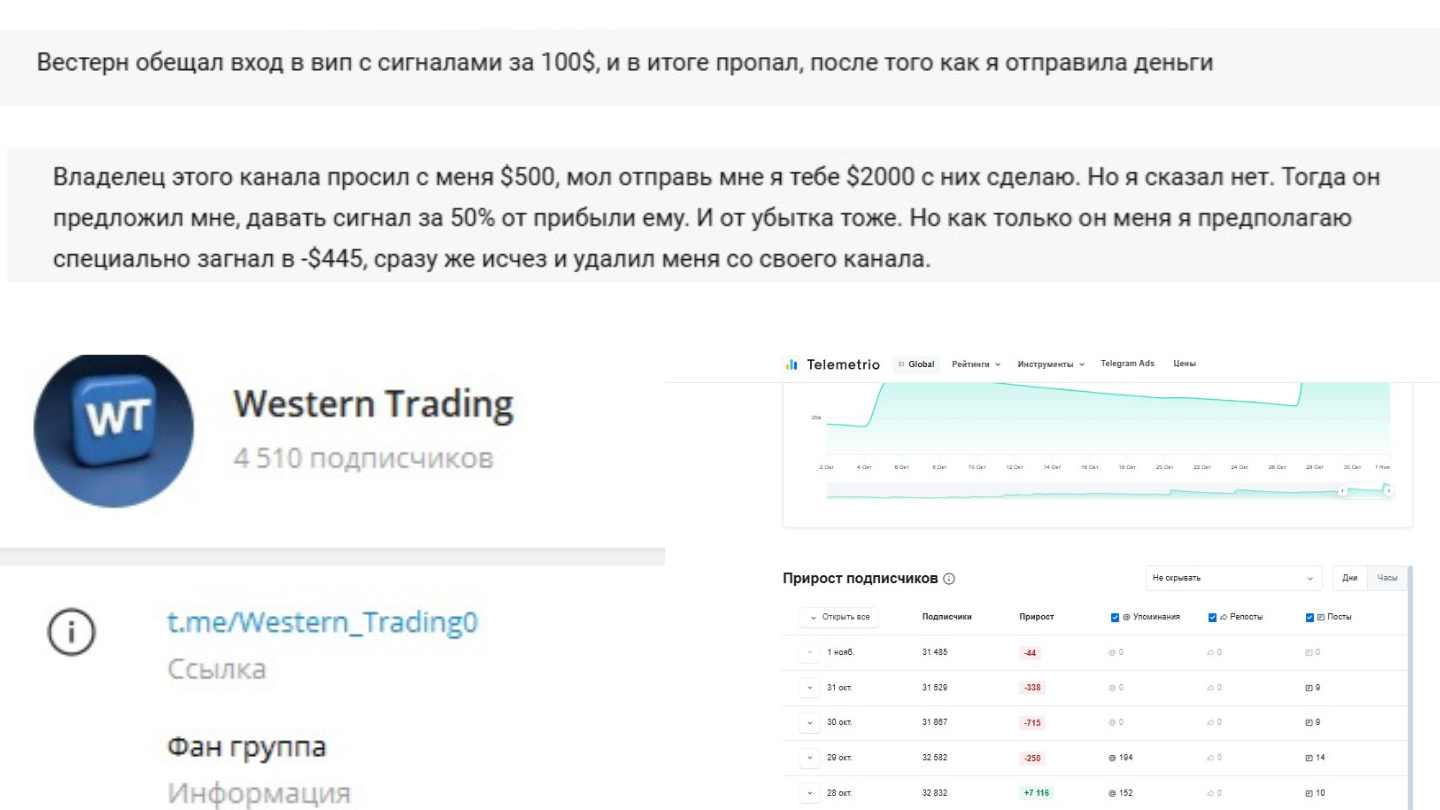 Как обманывают Tidebit, Антон Погорелый, Идрис «Теневой Шейх», Western Trading, Fundamentboost: разоблачение мошенников