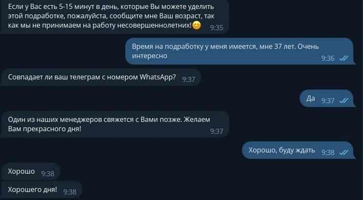 Выполнение заданий на маркетплейсе Wildberries: 3 схемы обмана в Telegram и WhatsApp