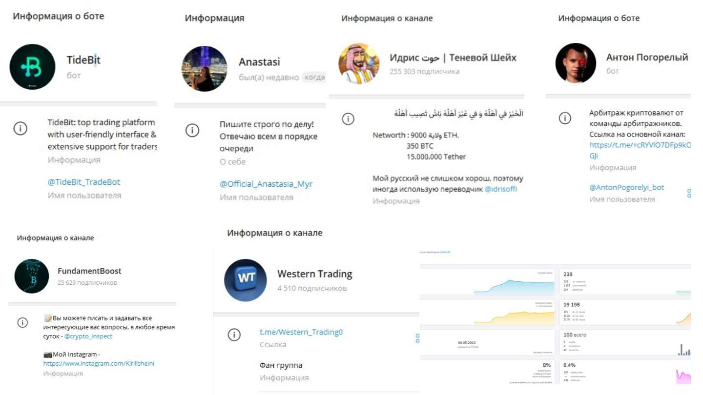 Как обманывают Tidebit, Антон Погорелый, Идрис «Теневой Шейх», Western Trading, Fundamentboost: разоблачение мошенников